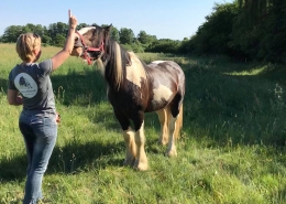 Braveheart på skovfold