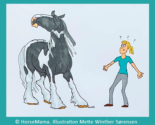 Horsemanship