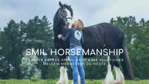 Bliv klogere på SMIL Horsemanship