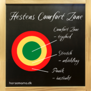 Hestens comfort zone