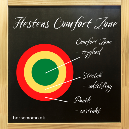 Hestens comfort zone