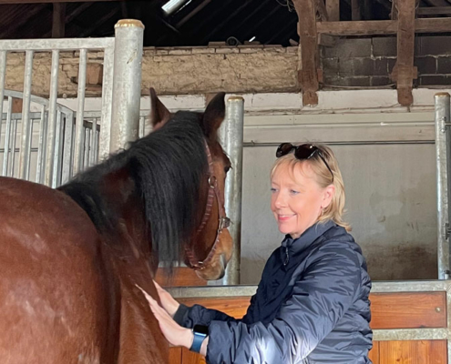 HorseMama Bodywork