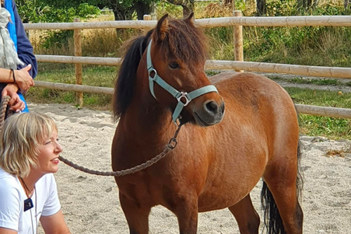 HorseMama hos Nyt Hesteliv 28.08.22