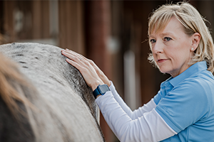HorseMama Bodywork