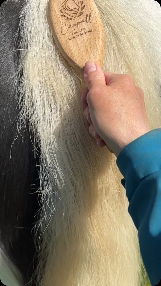 🌳💚 Braveheart’s birthday present (apart from the carrots 😉🥕🧡): a really nice and totally sustainable brush from @cappall_official - Love it already 😍 #nomoretangledhair #bravehearttheirishcob #birthdayboy