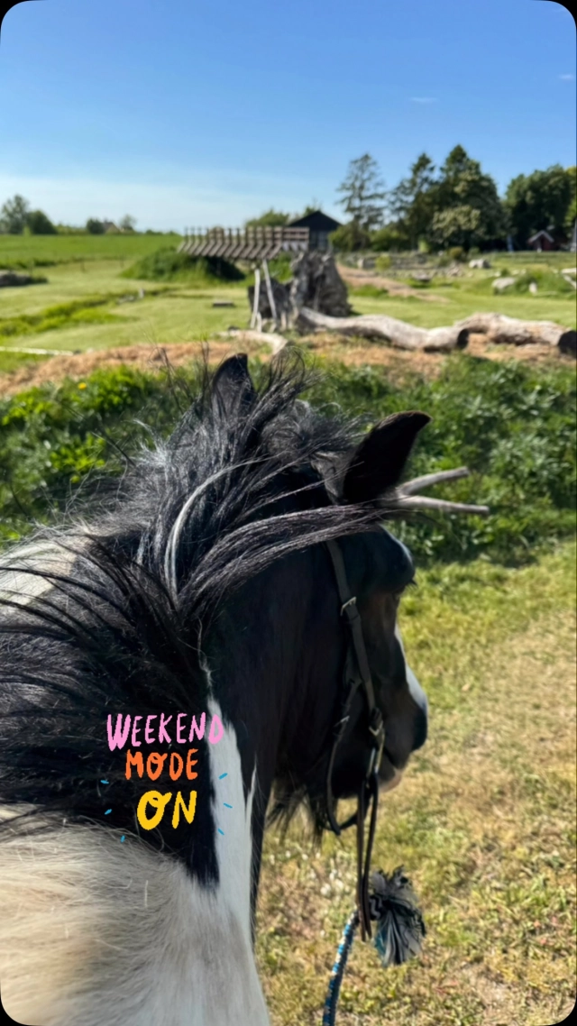 Have a great weekend 🐴☀️🌼💛 #weekendvibes #lifeisgood #smilehorsemanship #happyhorsemama #horselife