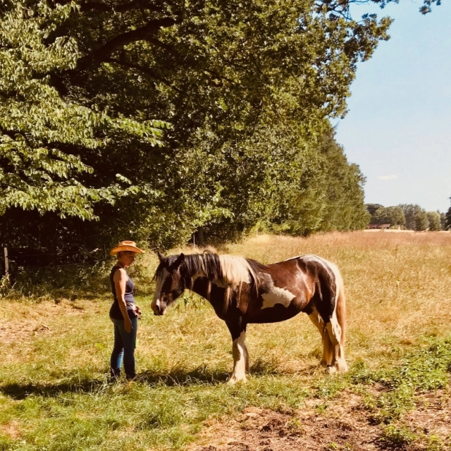 Recently, I visited a horse that was easily startled and constantly focused on the herd. But through grounding and groundwork, horse and owner found each other. And when it happened, we could all feel it. The key was tempo – there was simply way too much speed in all activity 🏃‍♀️

I still remember the first time I witnessed a moment like that. I was a fairly “green” instructor, and the plan was to do groundwork and practice handling due to some challenges. But the horse had a different idea, and it showed us exactly what needed to happen for their partnership to truly work. We walked into the arena, but instead of following the owner in the first exercise, the horse stood completely still, right in front of her. I was very curious about that reaction and asked the owner to go along with what the horse was suggesting. So there they stood. Face to face, about 40–50 cm apart. The owner instinctively closed her eyes. The horse stood with half-closed eyes and softly moving the lips. And there was no doubt at all – they were 100% connected. It was an incredibly moving and beautiful moment that just went on and on. I didn’t look at my watch, but they probably stood like that for 15–20 minutes. Maybe more. No words. No movement. Just tears slowly rolling down the owner’s cheeks. Both the owners friend who was present and I also had misty eyes 🥹

I’ve witnessed many such moments since then. When owners learn to pause and just be. When they – sometimes for the very first time – truly feel their horse. And in many cases, feel themselves for the first time in a long while. When time stands still, and horse and human begin laying a new foundation for their life together.

Many people reach out to me saying they’re on the verge of giving up. But when they experience the effect of simply being – of not rushing all the time – hope returns.

You can’t help but feel grateful to these wonderful horses who show us the way to this beautiful presence.

With love, Camilla 💖 
#presence #sundaygratitude #thankful #horselife #smilehorsemanship #mindfulness

PS Photo of Braveheart and yours truly in 2018 when he was just two years old