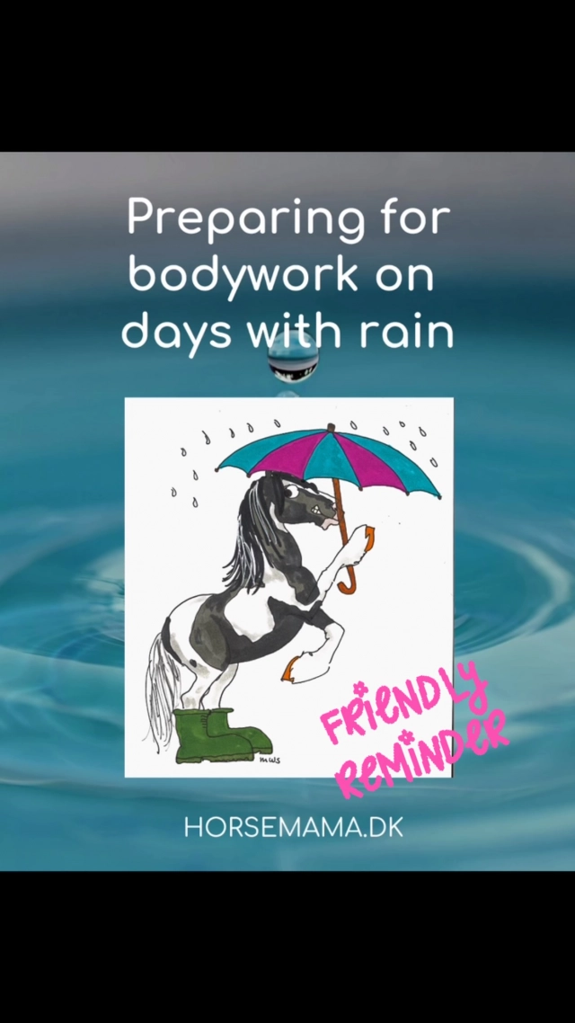 Beautiful summer days makes it easy to forget… remember your horse needs to be both clean and dry for bodywork 🩵 #equinebodywork #happyhorse #horseinbalance